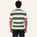 Stripped Polo Shirt Olive x White - back